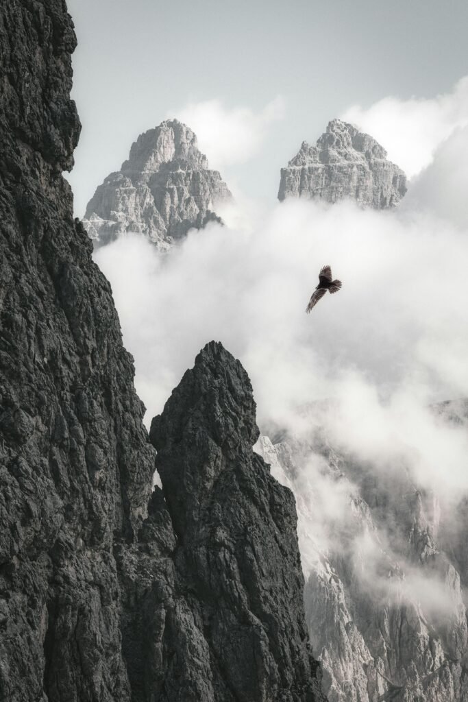 A bird soars near rocky mountain peaks shrouded in misty clouds, capturing nature's grandeur.